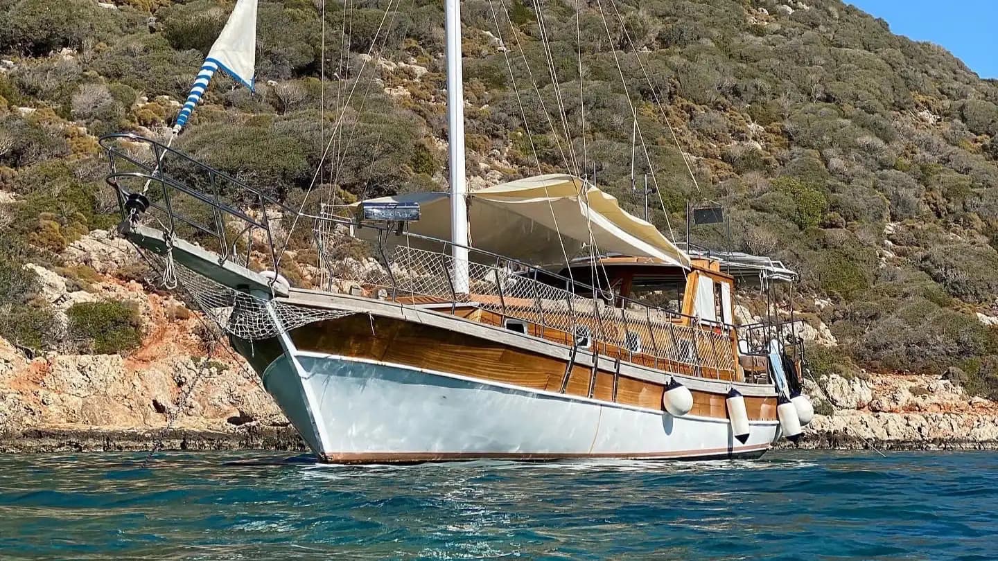 Vega Gulet 3